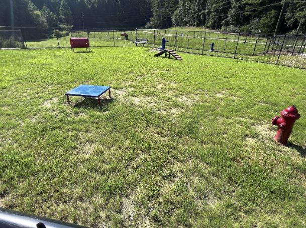 Johnson dog park 3