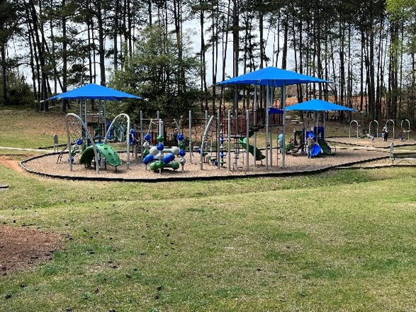 Picture5